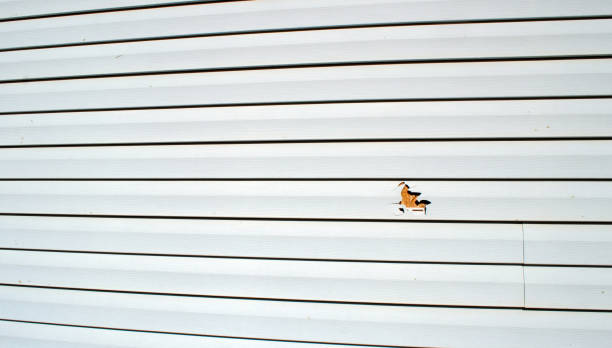 Best Siding for New Construction  in Mino, CA